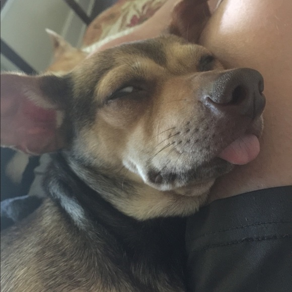 Meet your Posher, Bruce - Picture 10 of 12